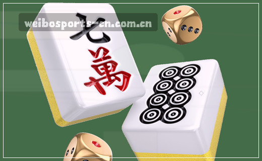 数据档案：数字记忆的基石